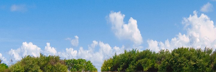 Sweet_Toriii's profile banner image