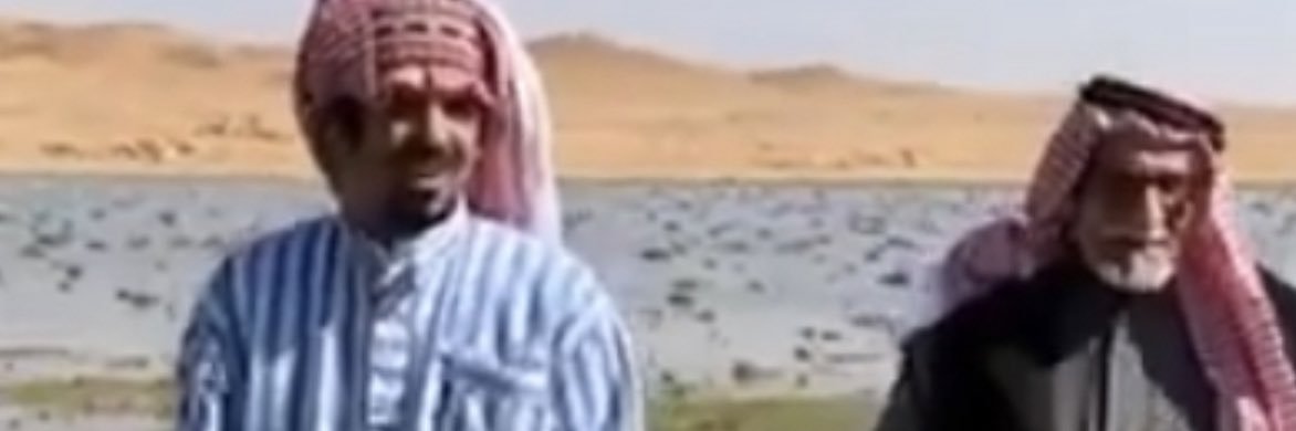 داود ابو رشيد banner
