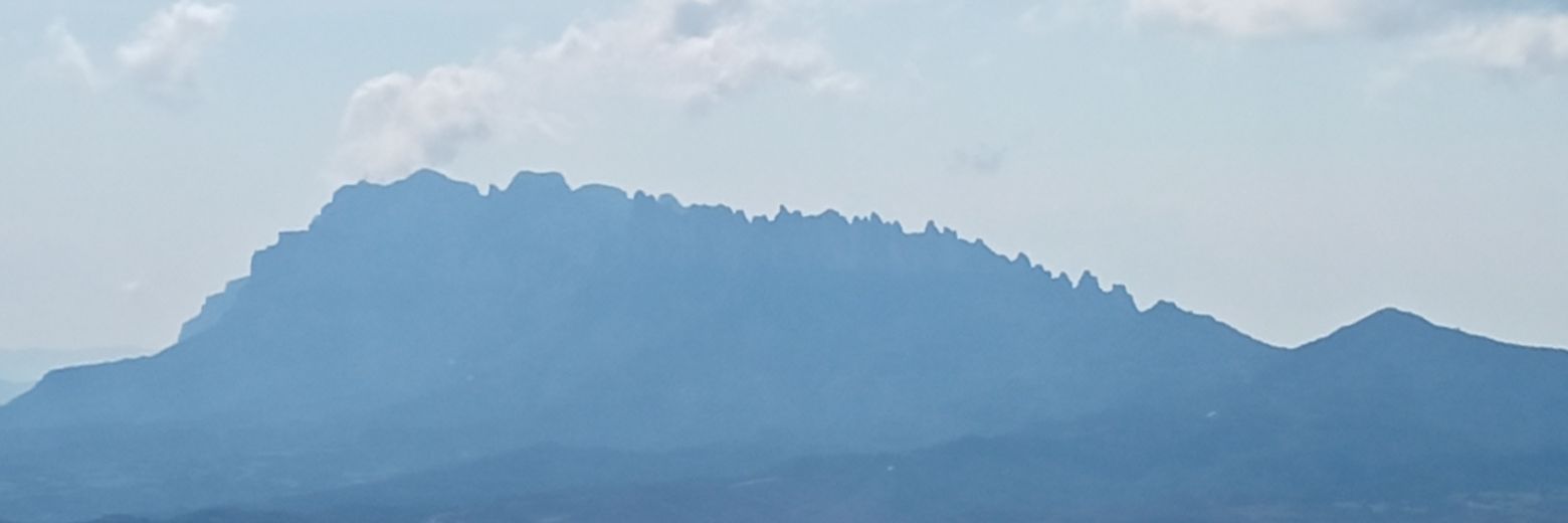 aurabarniol's profile banner image
