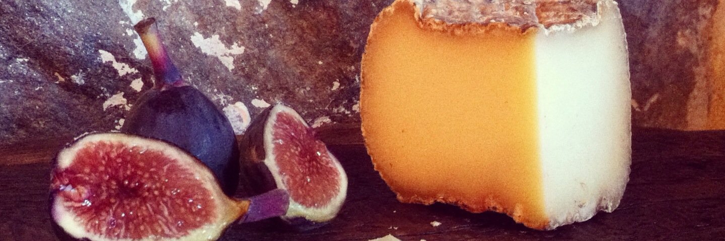 Thomas Schaer banner