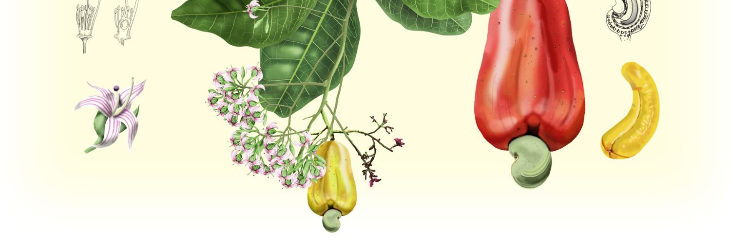 caaajuina's profile banner image