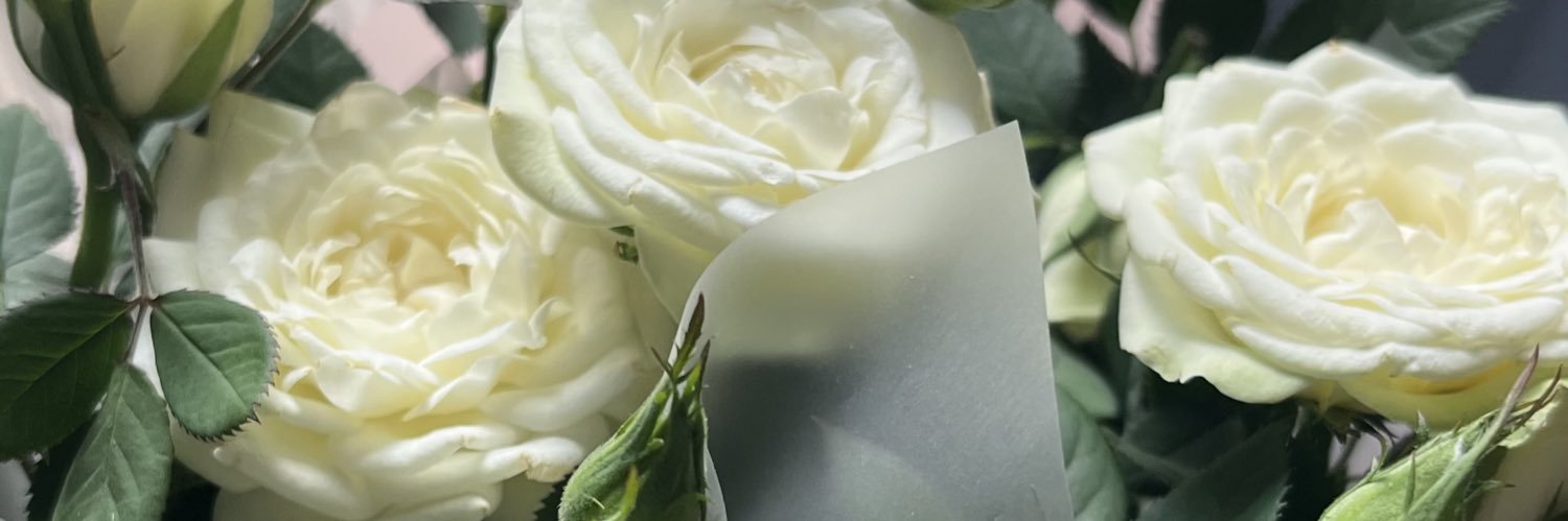 melzcoco_x's profile banner image