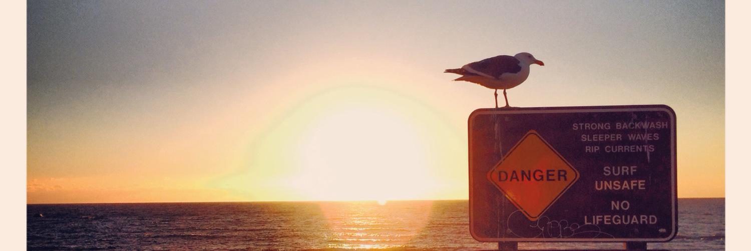 Constance Jamet banner