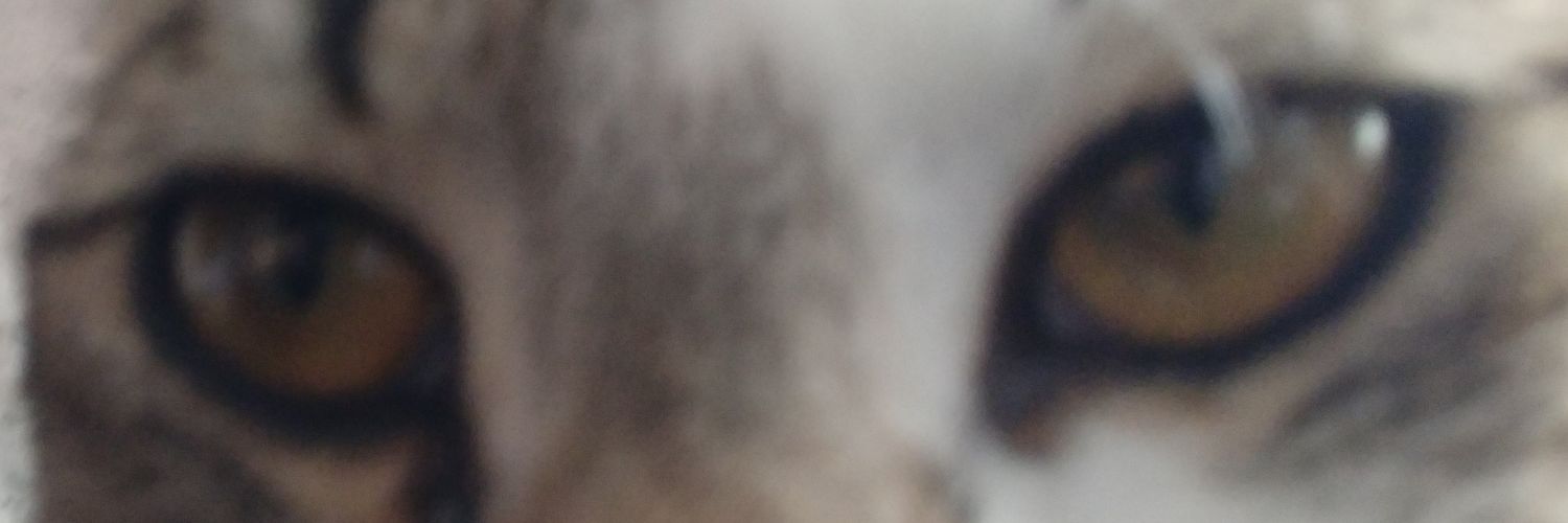 pierre_dvl's profile banner image