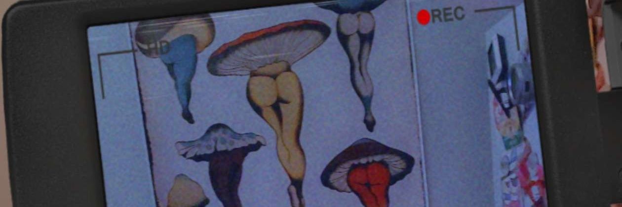 franks_taylor's profile banner image