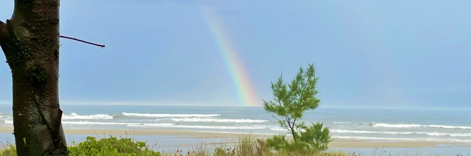 wanessafaveri's profile banner image
