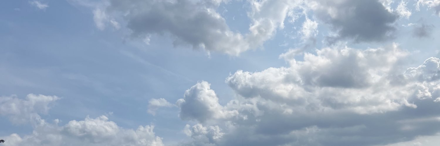 cheapieja's profile banner image