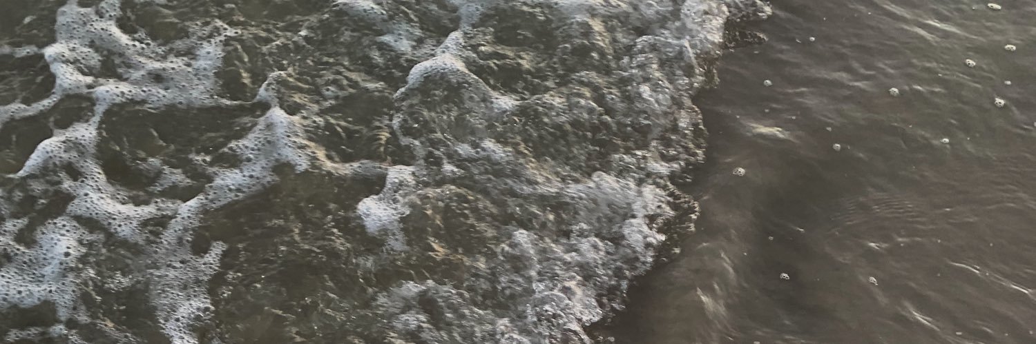 talimarijane's profile banner image