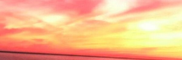 neabobea Profile Banner