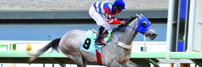 ناصر بن حزام banner