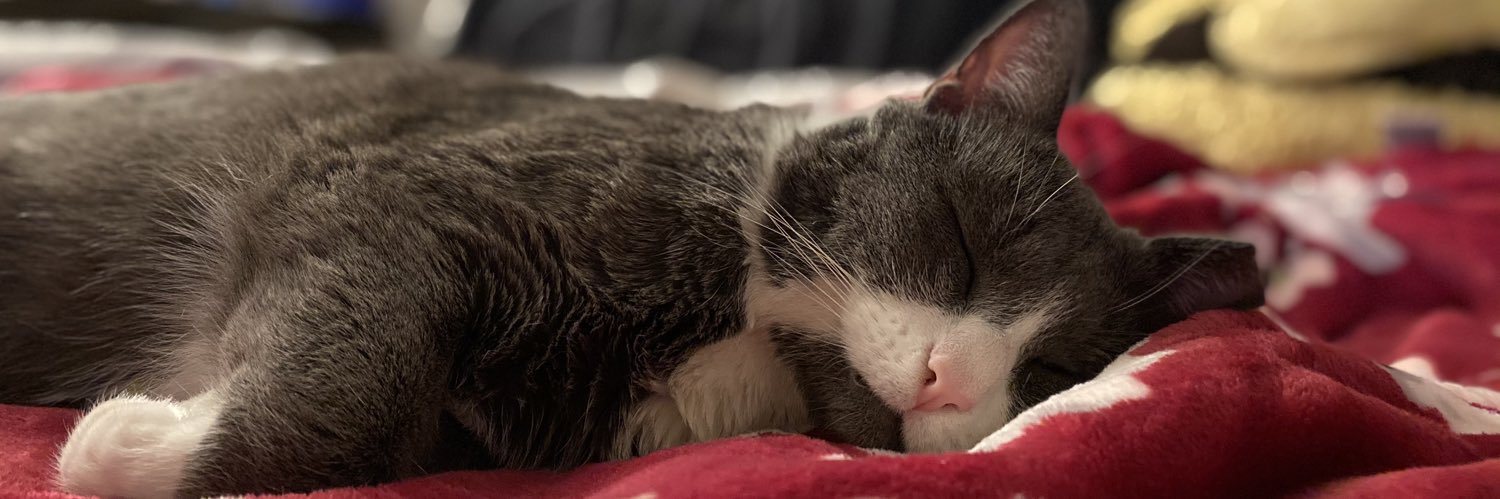 Ellen Woon, PhD banner