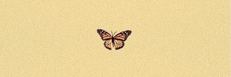 AnnieMosca's profile banner image