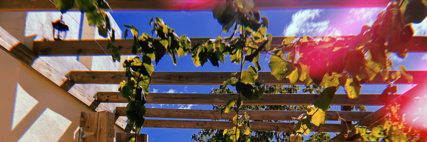 JennTereza's profile banner image