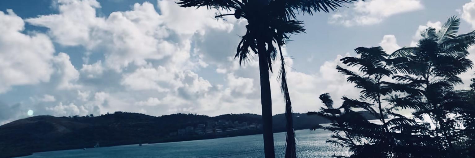 maxzin's profile banner image