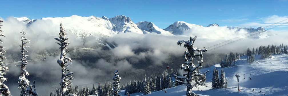 laur_ski's profile banner image
