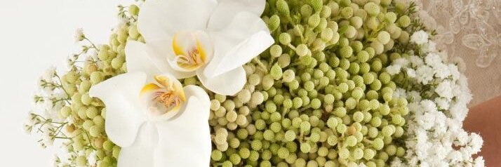fandhflowers's profile banner image