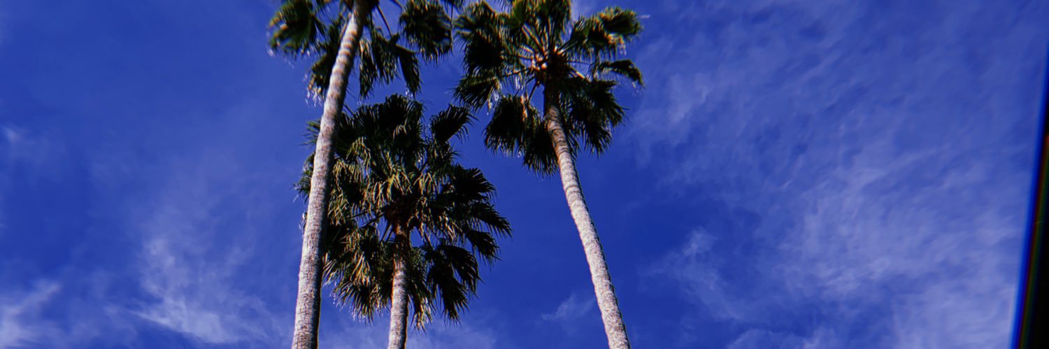 tyler__andrea's profile banner image
