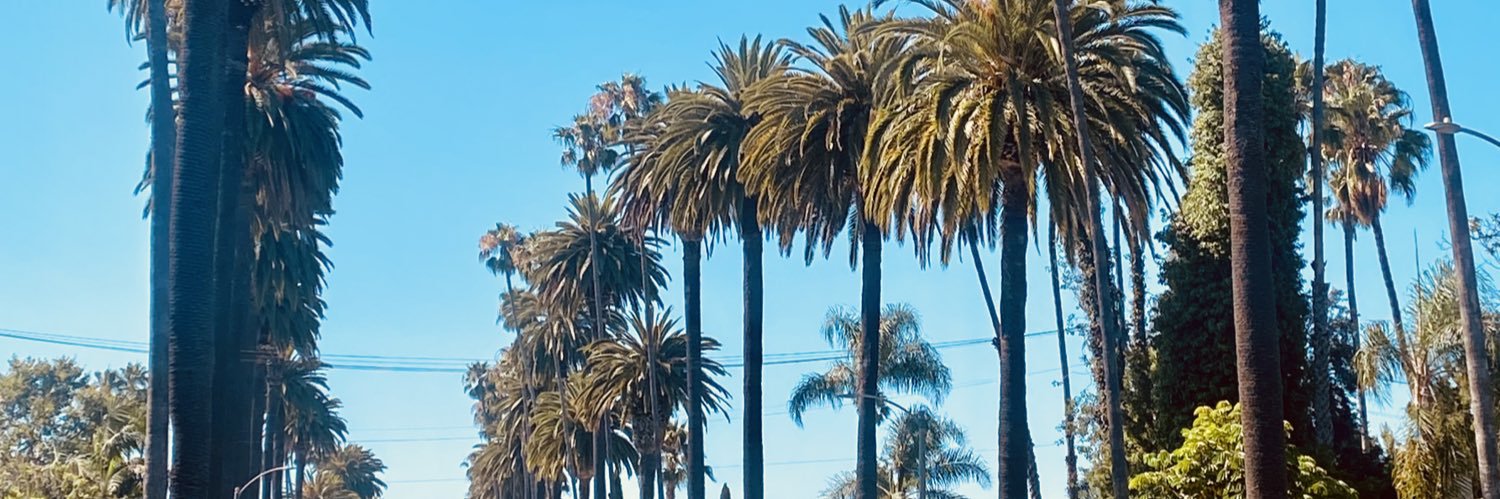 AlexisMKelly's profile banner image