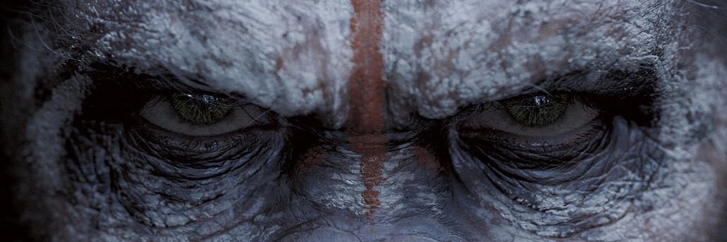 _iamananomaly's profile banner image