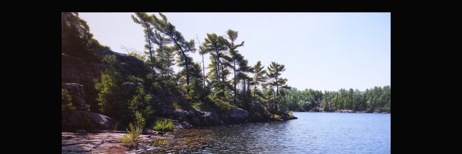 WHITFIELD_GALL's profile banner image