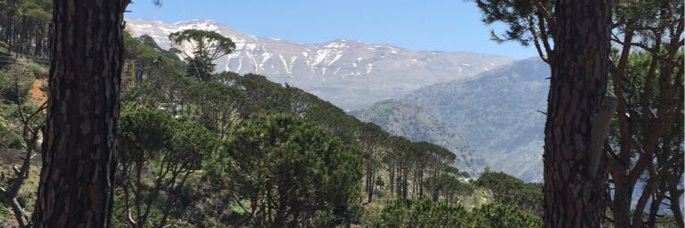 Nadim Shehadi نديم شحاده banner