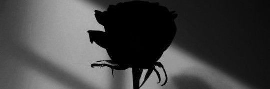 acjohnsonn_'s profile banner image