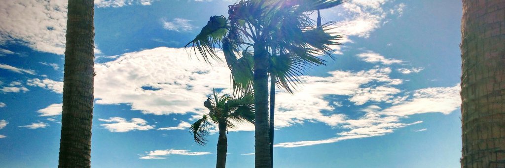 SusanBethel's profile banner image