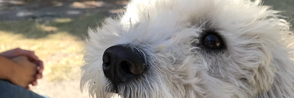 diegoreyex_'s profile banner image