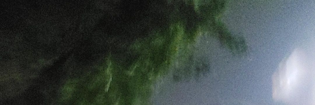 rougeofroses's profile banner image