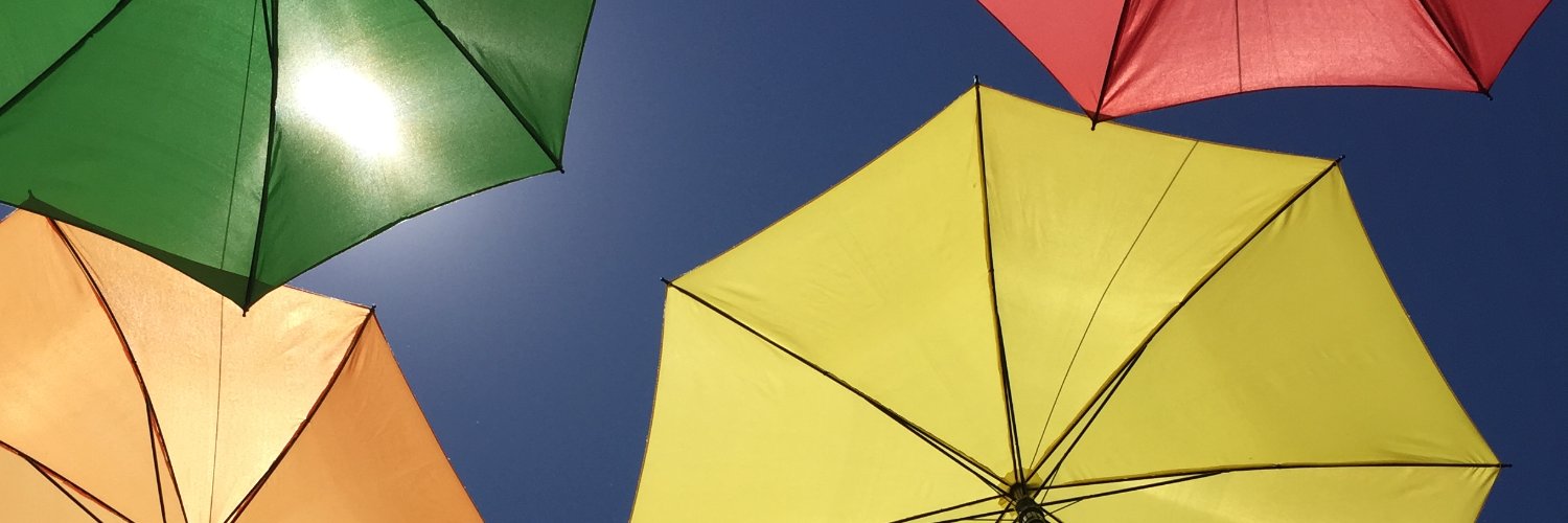 Stephanie Reiter banner