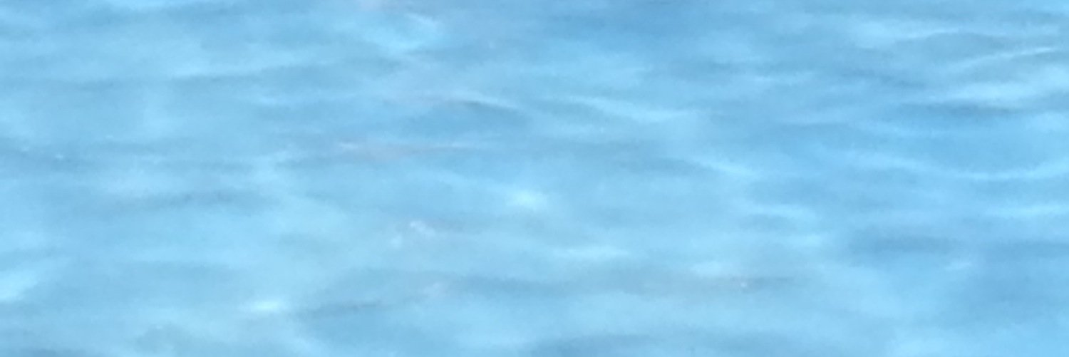 davidowenralph's profile banner image