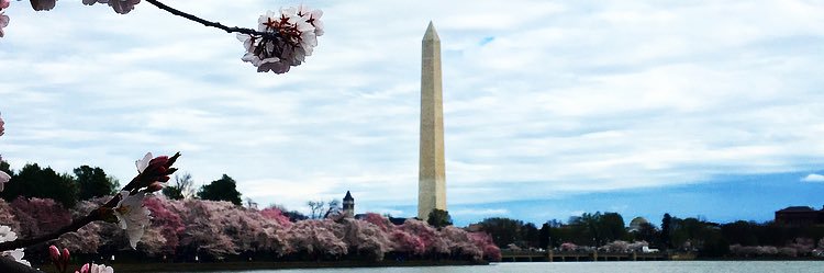 AbbyBee23's profile banner image