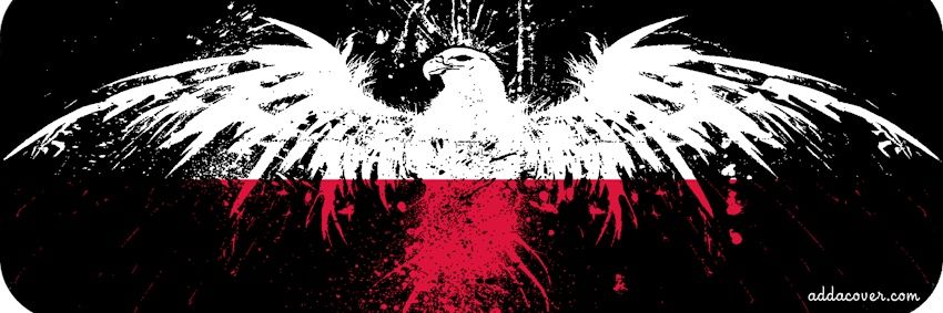 Daniel Gasiorowski banner