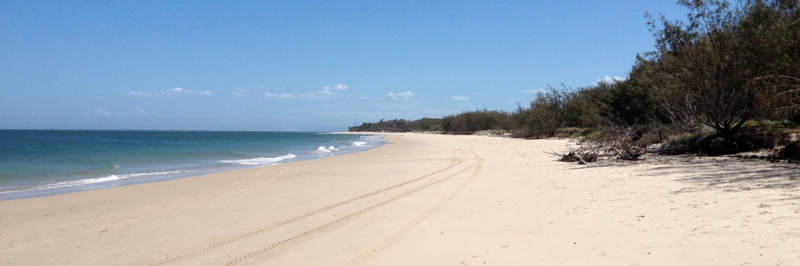 Michelle Riedlinger banner