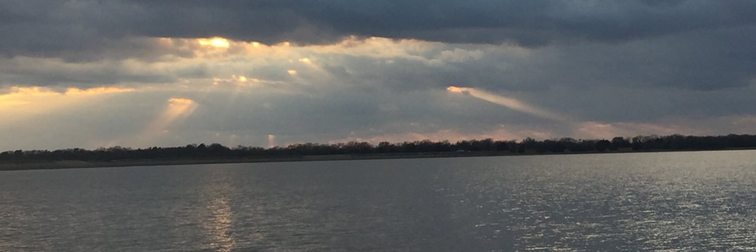 amybarrera3's profile banner image