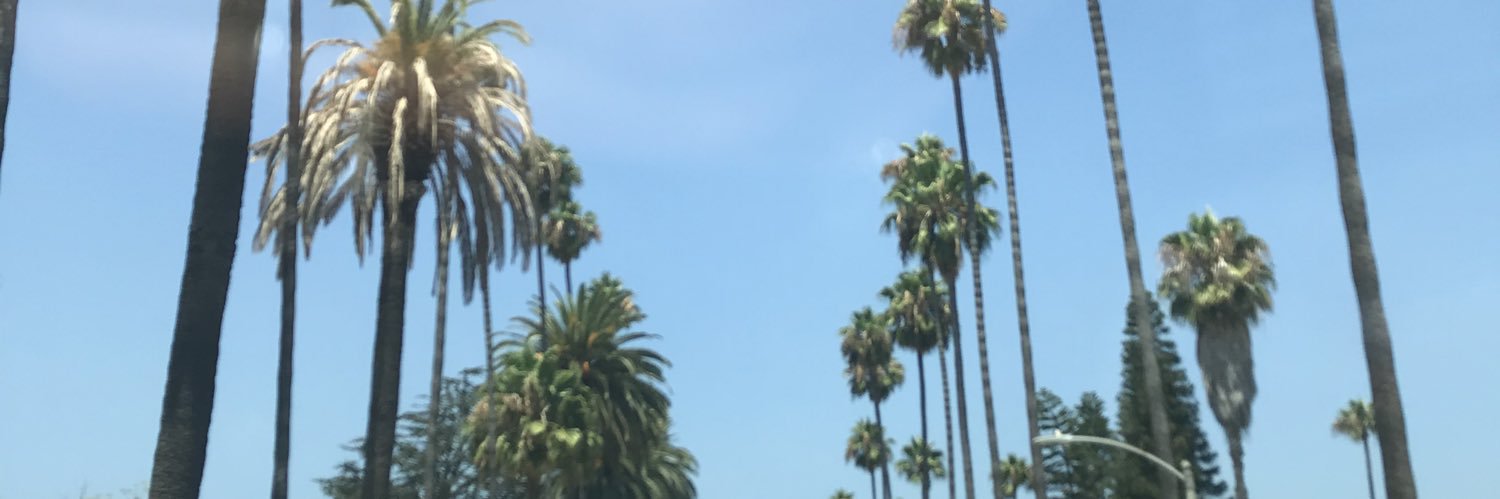 lexiprooo's profile banner image