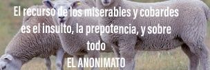 mfrualesn's profile banner image