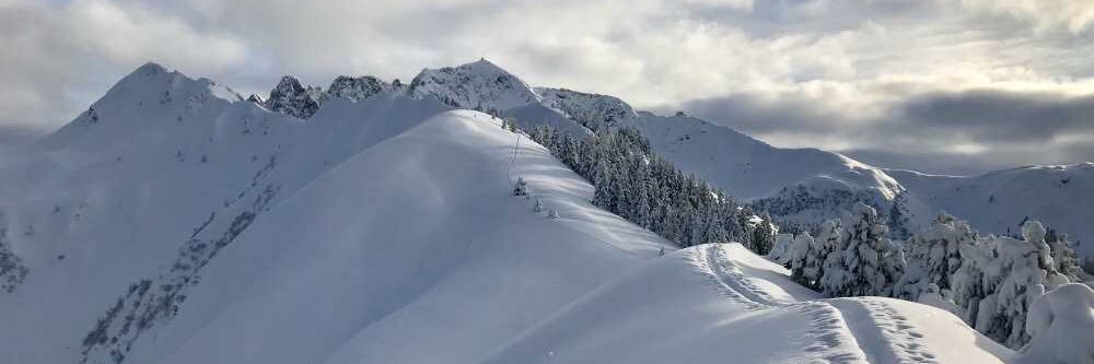 Sebastian Oelmann banner