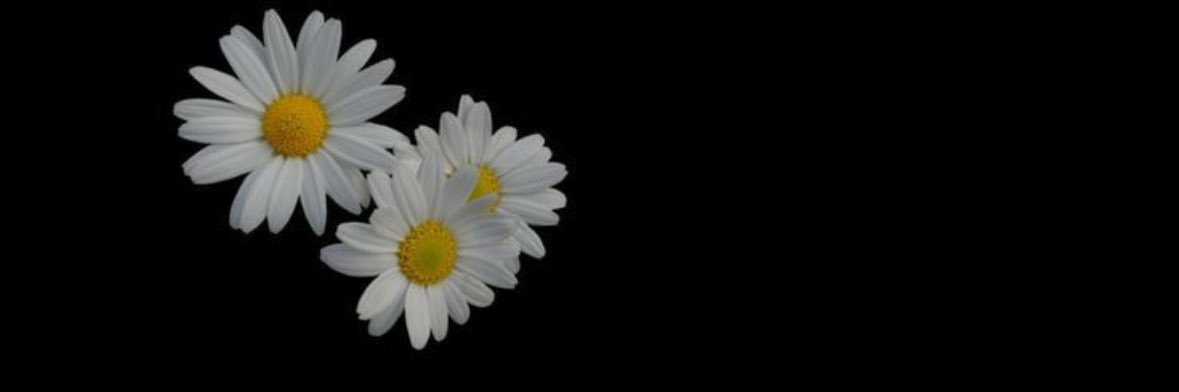 gulesmedine's profile banner image