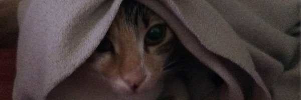 NaveenMina Profile Banner