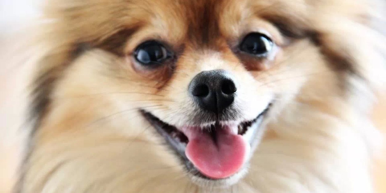 arantxagorbena's profile banner image
