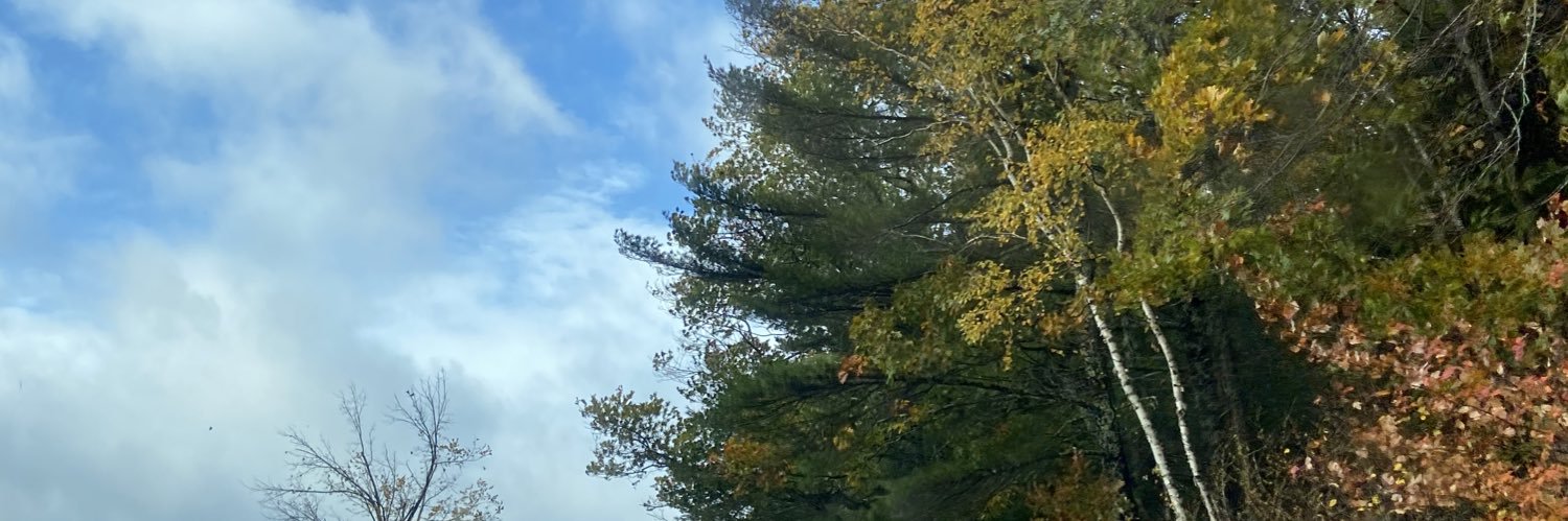 MoneekaBrar's profile banner image