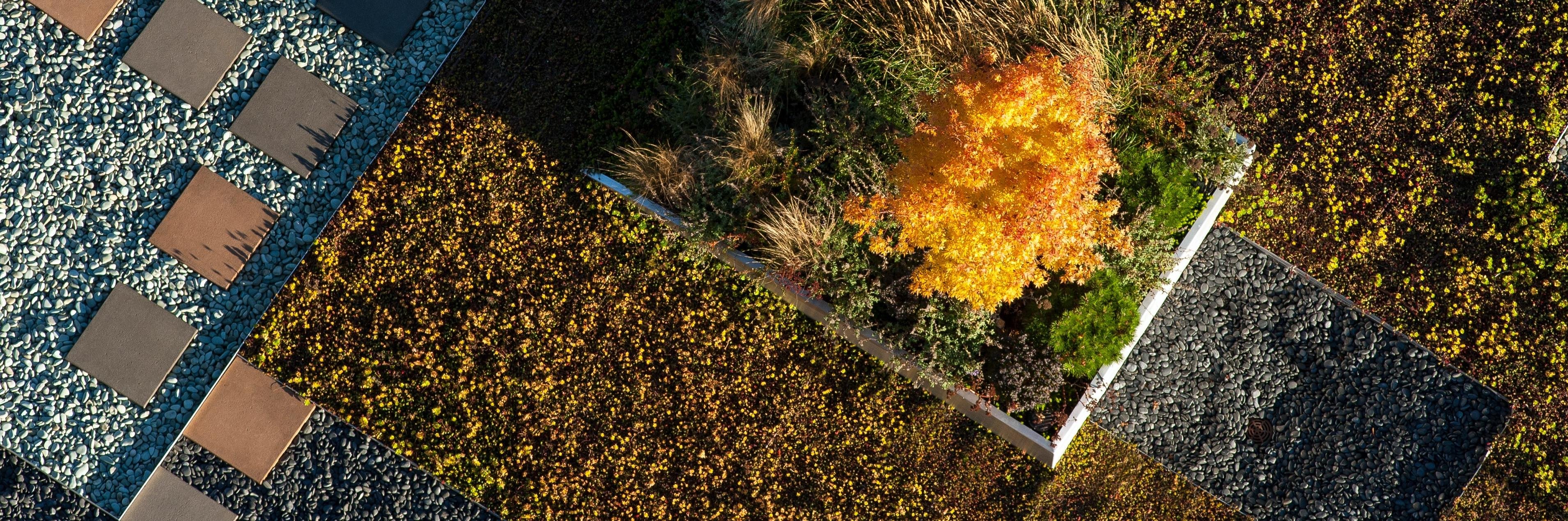 CGreenTech's profile banner image