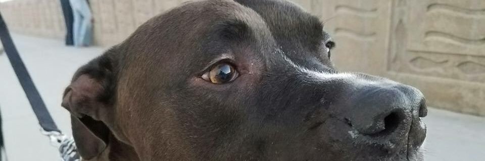 dfern45's profile banner image