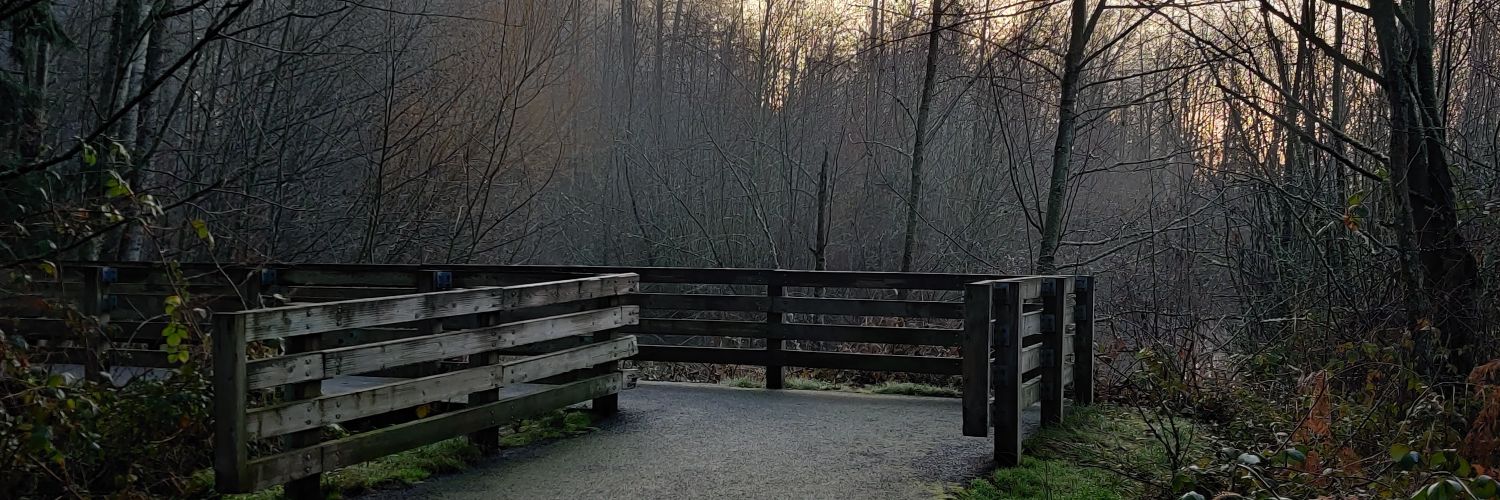shellyswicked's profile banner image