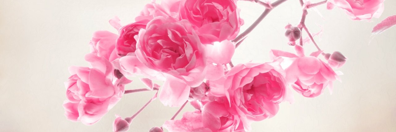 sandymae5368's profile banner image