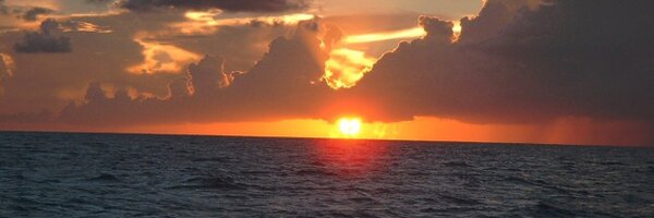 wxTWG Profile Banner