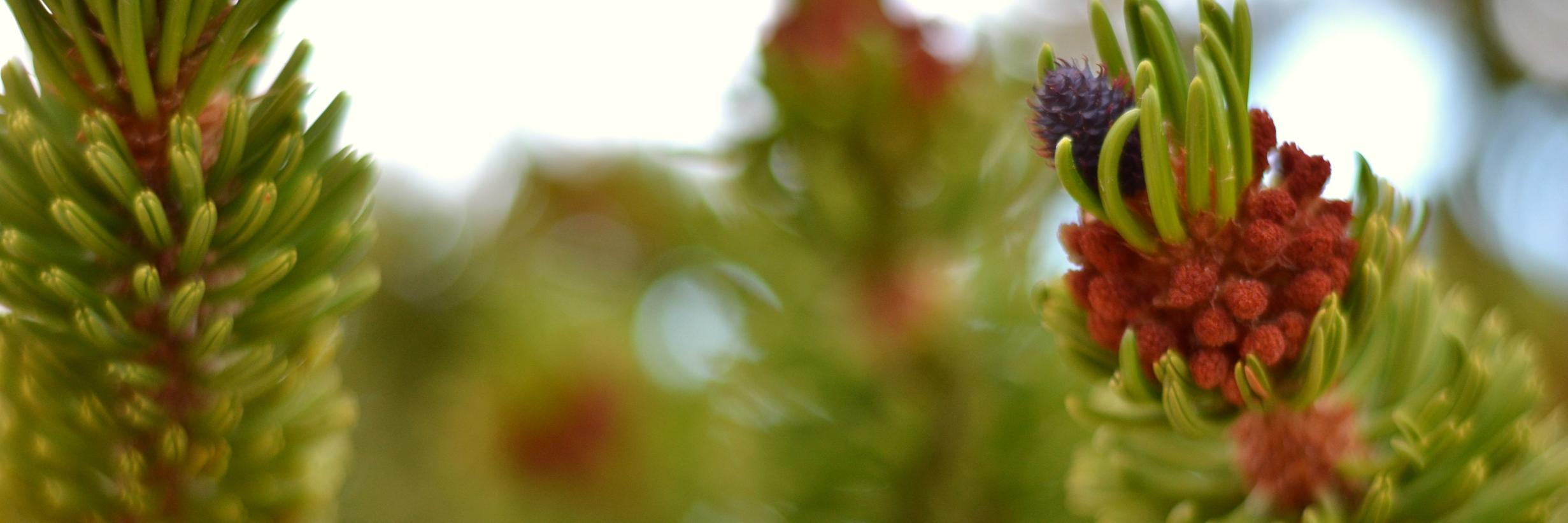 adngillman's profile banner image