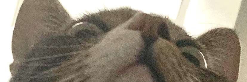 captain__morgs's profile banner image