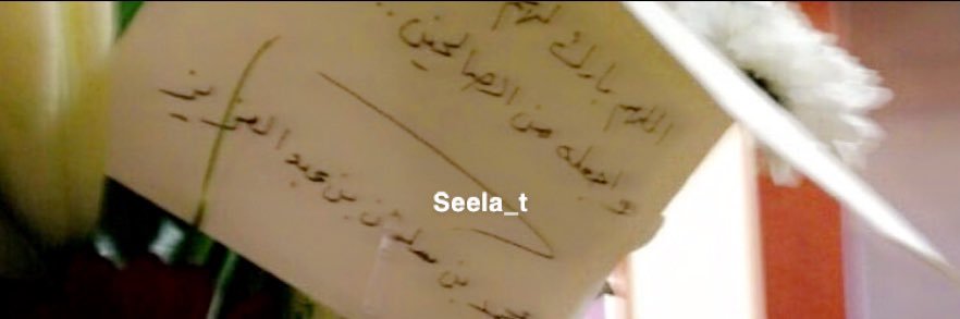 Seela banner